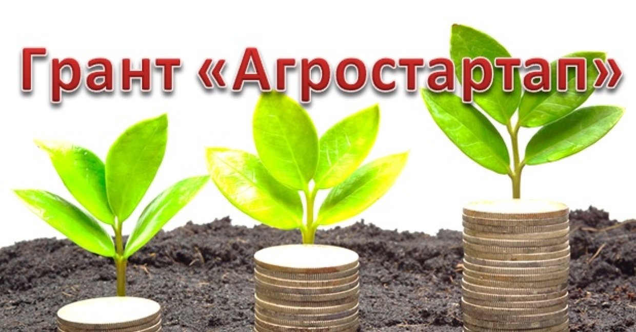 Грант Крестьянским фермерским хозяйствам "Агростартап"