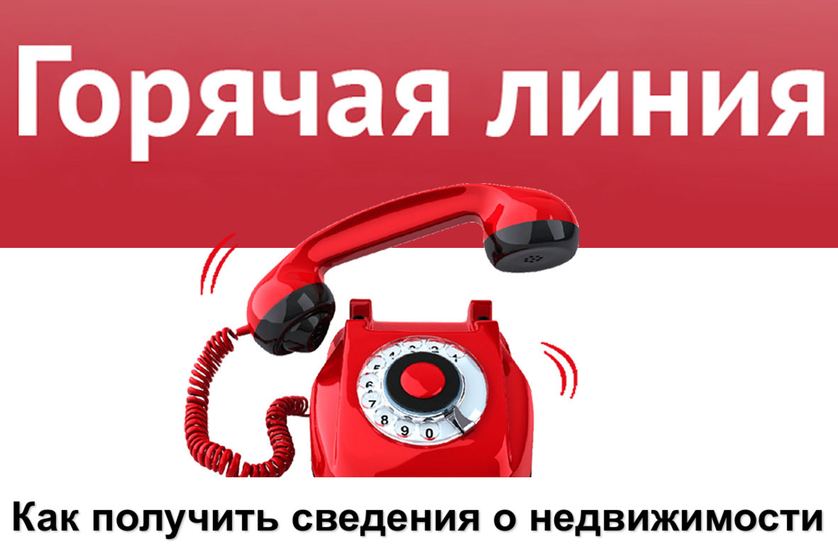 Горячая линия: предоставление сведений ЕГРН Горячая линия: предоставление сведений ЕГРН