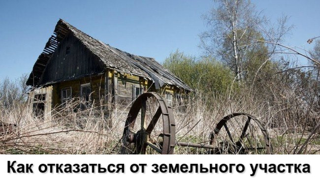 Как отказаться от земельного участка