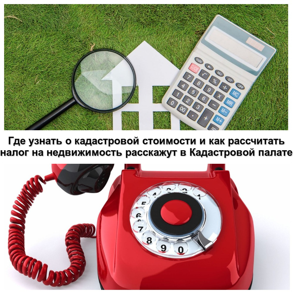 Где узнать о кадастровой стоимости и как рассчитать налог на недвижимость расскажут в Кадастровой палате