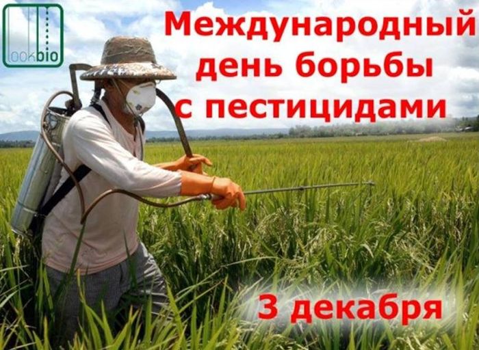 Международный день борьбы с пестицидами Международный день борьбы с пестицидами