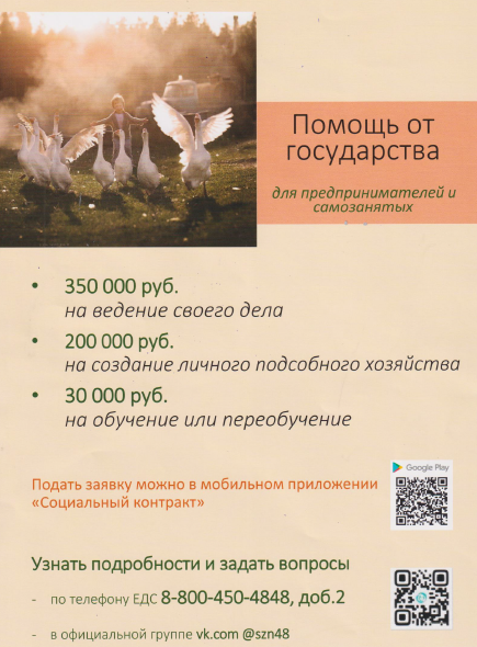 Социальный контракт